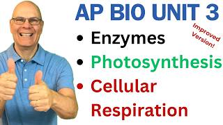 Crush AP Bio Unit 3 Enzymes Photosynthesis and Respiration [upl. by Onihc]