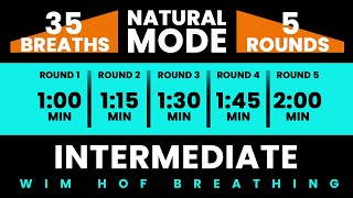 Intermediate Wim Hof Guided Breathing  5 Rounds  35 Breaths  Pure Breathwork No Frequencies [upl. by Hanahs]