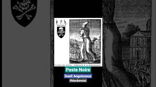 Dueil Angoisseus by Peste Noire shorts blackmetal [upl. by Aleris]