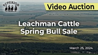 Leachman Cattle Spring Bull Sale [upl. by Eusadnilem]