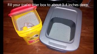 DIY Top Entry Cat Litter Box For Under 5 Dollars [upl. by Elleirol]