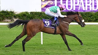 1000 Guineas prospect SWELTER looks exciting on debut at Leopardstown  Racing TV [upl. by Rowell]