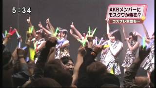 AKB48 in Russia ＡＫＢ４８のモスクワ公演 [upl. by Nessy]