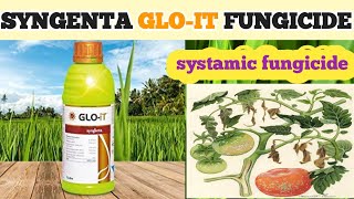 SYNGENTA GLOIT FUNGICIDE  PROPICONAZOLE 139 DIFENOCONAZOLE 139  GLOIT SYNGENTA [upl. by Akeemahs]