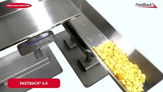 FastBack® 40 Horizontal Motion Conveyors Model 250 amp 100  Heat and Control [upl. by Post]