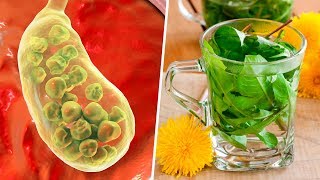 How to Get Rid of Gallstones Naturally Gallbladder Cleanse [upl. by Nabetse]