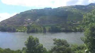 The vineyards of the Douro Valley from the train [upl. by Valoniah]