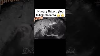 Hungry Baby Inside Uterus on Ultrasound Scan [upl. by Airlee678]