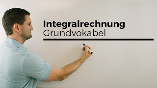 Integralrechnung Grundvokabel Hauptsatz Flächenberechnung  Mathe by Daniel Jung [upl. by Gabriela]