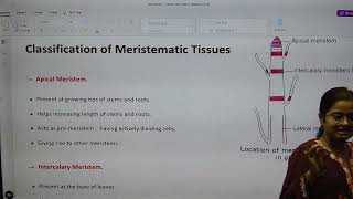 TYPES OF MERISTEMATIC TISSUE I 9TH I BIOLOGU I TISSUE [upl. by Aneeuqal]