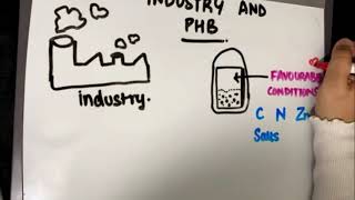 Understanding PHB Better know a polymer [upl. by Worsham]