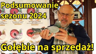 Leszek Konieczny  Podsumowanie sezonu lotowego 2024  sprzedam gołębie pocztowe [upl. by Donal]