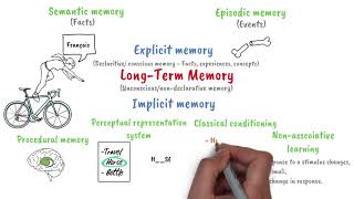 Longterm memory [upl. by Sirrah32]