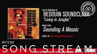 Bedouin Soundclash  Living In Jungles Official Audio [upl. by Oderfliw]