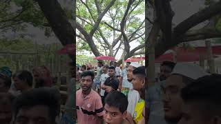 Hazrat Pur gorur Haat 2024  Cow market in Bangladesh [upl. by Ynatsed]