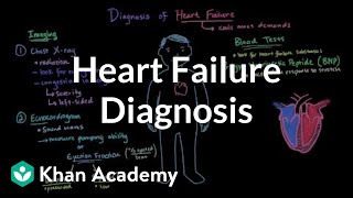 Heart failure diagnosis  Circulatory System and Disease  NCLEXRN  Khan Academy [upl. by Ancelin]