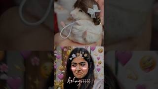 Retta jada pottu thulli thirinjane shortvideo shorts short cutey viralreels azhagi [upl. by Kreis]