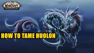 How to Tame Huolon WoW [upl. by Jahdal395]