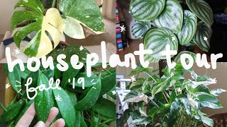 HOUSEPLANT TOUR FALL 2019  My Entire Houseplant Collection [upl. by Adallard]