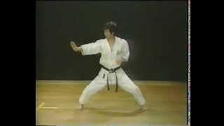 8 Tekki Sandan Kata Faixa Roxa Shotokan Karate [upl. by Suiravaj36]