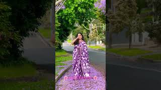 🌸 JACARANDA 🌸 trend trending viralshort youtube youtubeshorts viralshorts viralvideo [upl. by Neal]