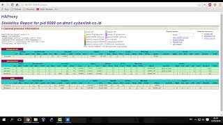 Lab 30 HAProxy Setup  High Availability Tomcat Service on CentOS 7 [upl. by Gonzales]