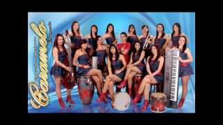 Los Mejores Grupos Tropicales y Cumbia [upl. by Millisent]