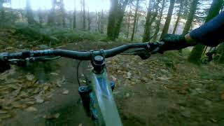 Forest of Dean  Wild Trails  Autumnal Bliss  Nukeproof Giga chasing Santa Cruz 5010 [upl. by Phionna621]