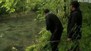 Pêche de la truites aux leurres dans lAin sur lAlbarine [upl. by Netti450]