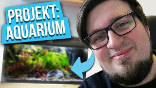 Vom Anfänger zum Aquaristik Profi  Projekt Aquarium [upl. by Nannahs]