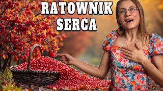 Ostatnia Szansa Roślina Która Może Uratować SERCE [upl. by Criswell876]