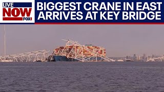 Baltimore bridge collapse Largest crane on eastern seaboard used to move ship  LiveNOW from FOX [upl. by Navy]