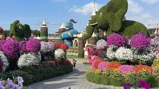 El jardin de los milagros Dubái Miracle Garden en el desierto [upl. by Llirrehs17]