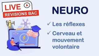 Révisions BAC spé SVT  NEUROLOGIE [upl. by Jilly]