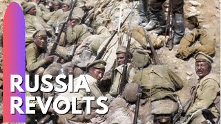 Russia Revolts in 1917  Democracy is given a chance [upl. by Haletky]