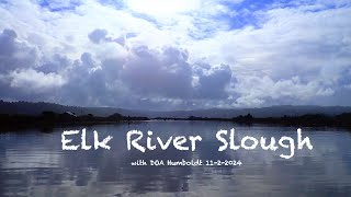 Elk River Slough with DOA Humboldt 1122024 [upl. by Nuawd211]