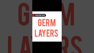 GERM LAYERS [upl. by Oruasi]