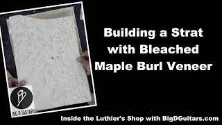 Building a Stratocaster with a bleached Maple Burl Veneer [upl. by Hanway]