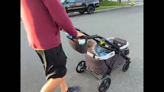 Review  BabyTrend Stroller Wagon [upl. by Ahsoyem802]