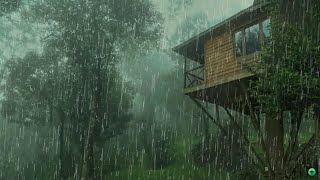 Pluie Relaxante pour Dormir en 3 Minutes  Son de Pluie pour se Détendre et Améliorer linsomnie [upl. by Buonomo]