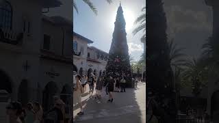 Disney Springs Christmas tree on Veterans Day Fishing tomorrow tight lines [upl. by Yllah]