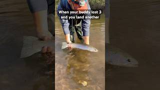 Another steelhead 🎣 fishing funny steelhead trout adventure travel [upl. by Aiciled625]