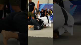 Estrangulación en lucha de cintas negras de jiu jitsu brasileño  Abierto de Guayaquil bjj [upl. by Mortensen]