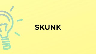 What is the meaning of the word SKUNK [upl. by Balthazar]