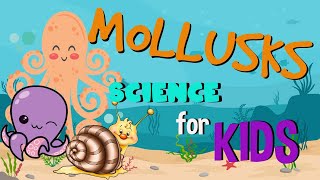 What is a Mollusk Invertebrates animals  Science for Kids [upl. by Tamqrah253]