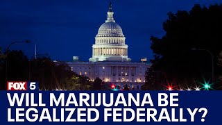 Will marijuana be legalized on the federal level  FOX 5s In The Courts [upl. by Aivonas490]