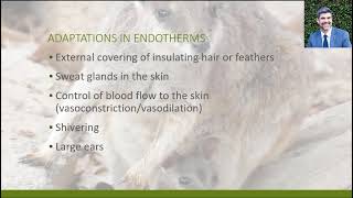 NDD3 Temperature Regulation In Endotherms [upl. by Oreves877]