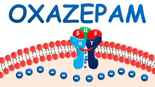 Oxazepam  Mechanism precautions side effects amp uses [upl. by Hertha]