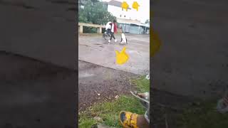 የማዳበሪያ prank ስብስብ [upl. by Adlei903]