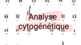 Analyse cytogénétique technique de Biologie moléculaire [upl. by Teillo]